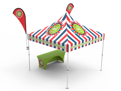 10x10 Custom Pop Up Canopy Tent Combos 13